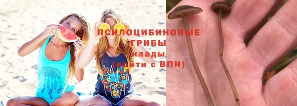 героин Козловка