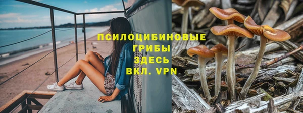 синтетический гашиш Козельск